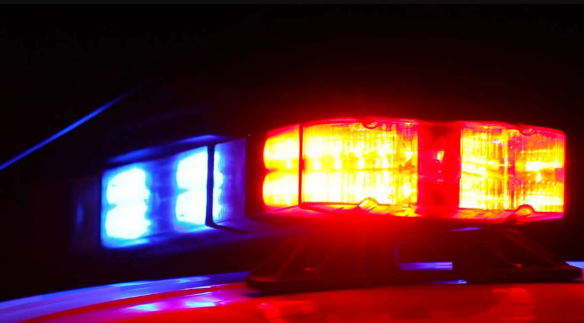 Katherine McCollough Los Angeles CA Suicide Death, Obituary - Reggie Watts Girlfriend Katherine Early McCollough Is Dead